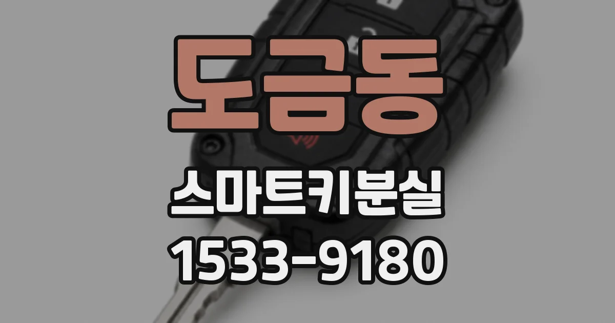 도금동 스마트키분실