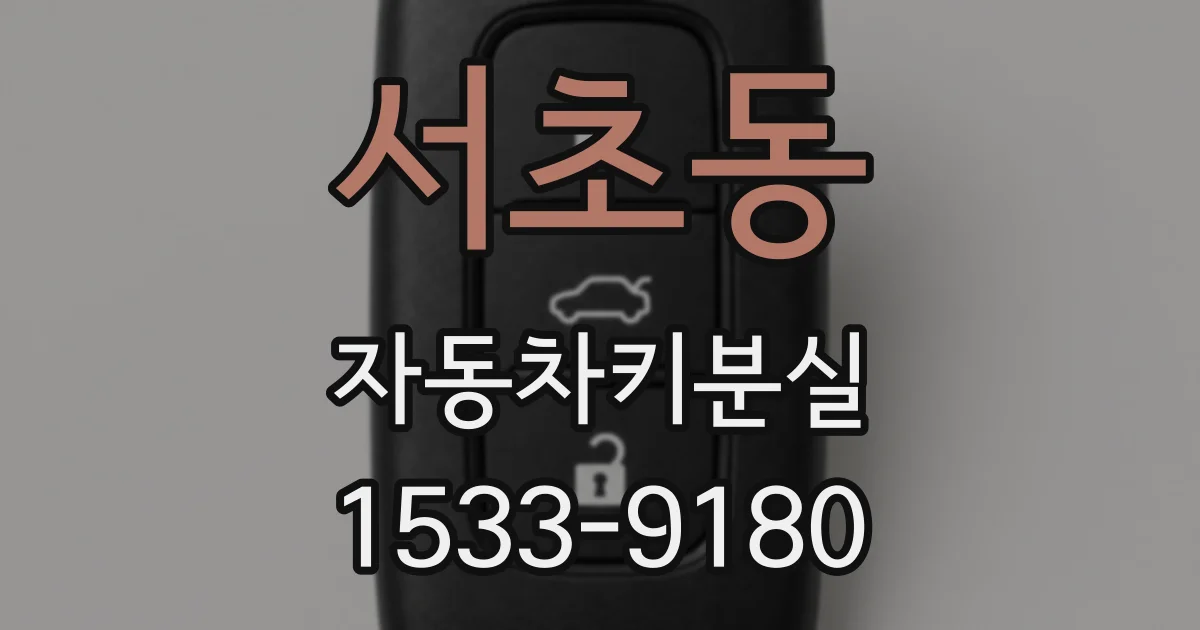 서초동 자동차키분실