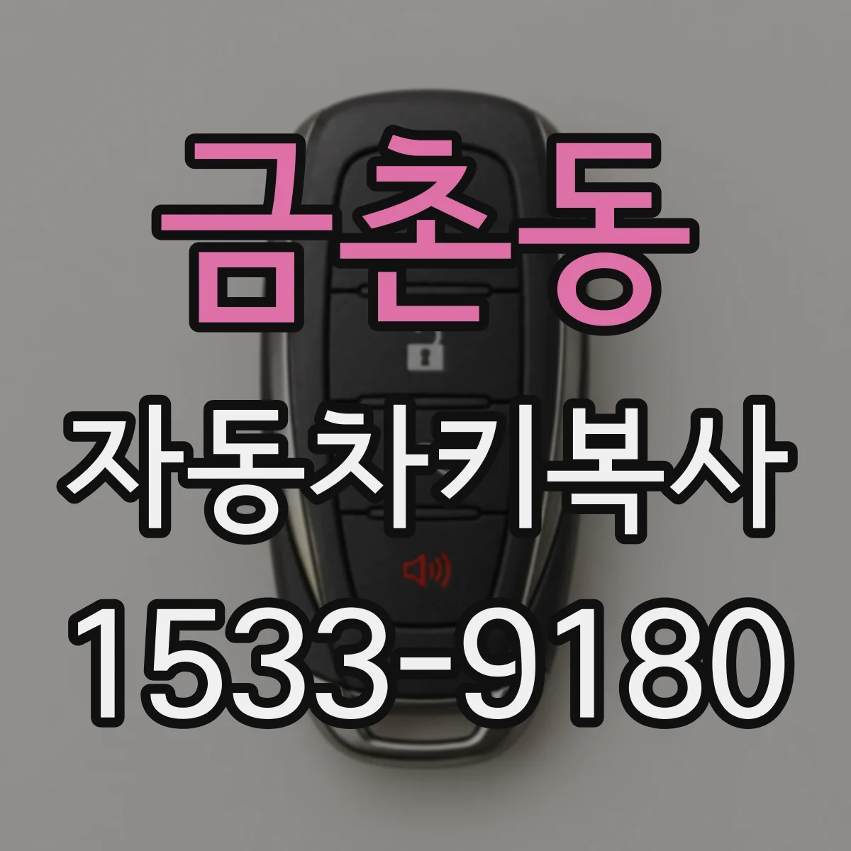 금촌동 자동차키복사