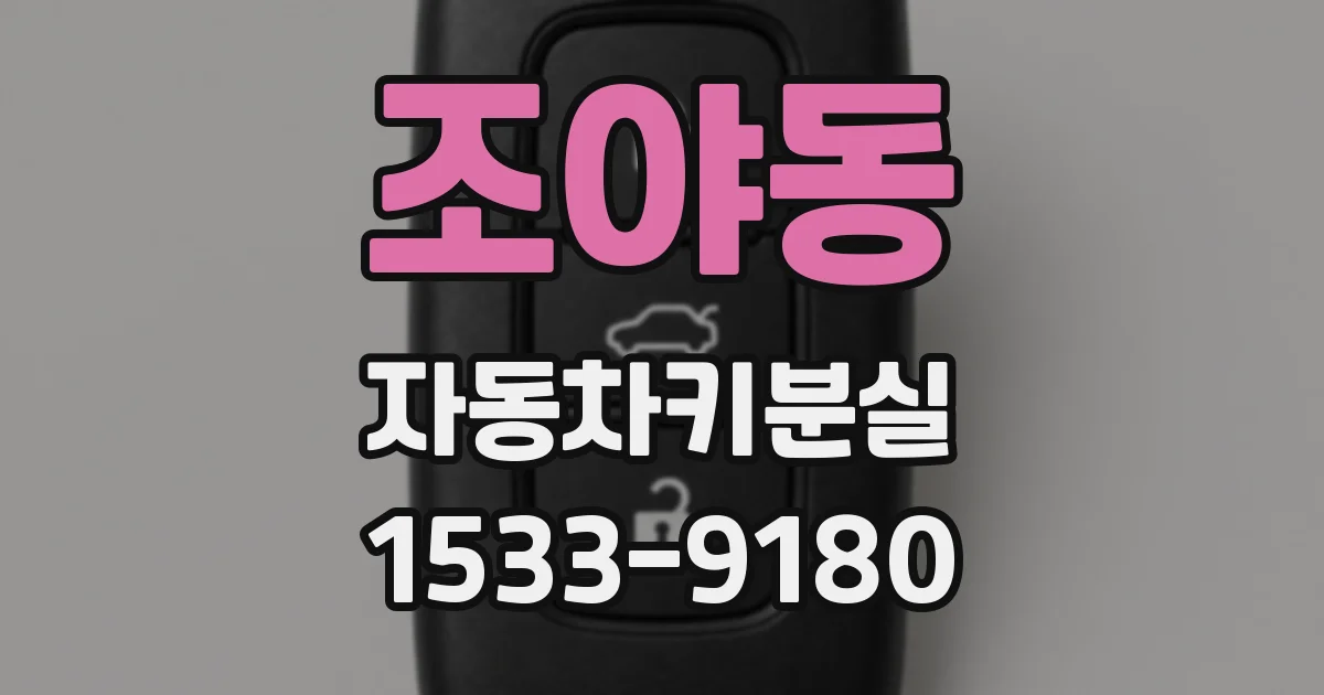 조야동 자동차키분실