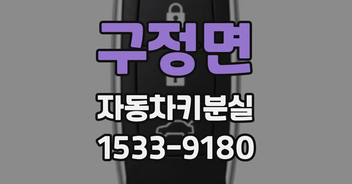 구정면 자동차키분실