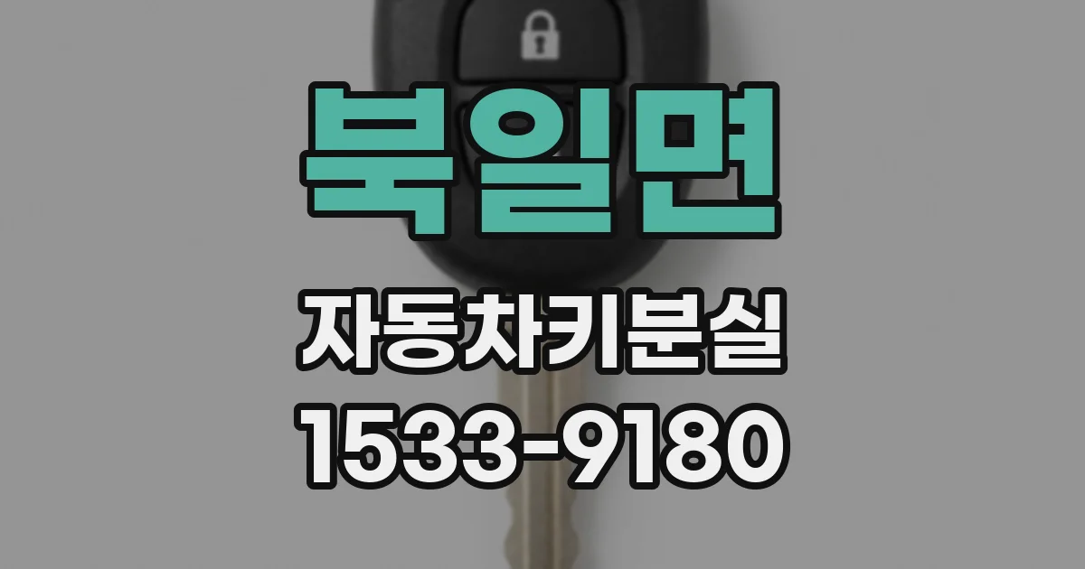북일면 자동차키분실