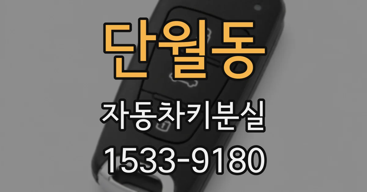 단월동 자동차키분실