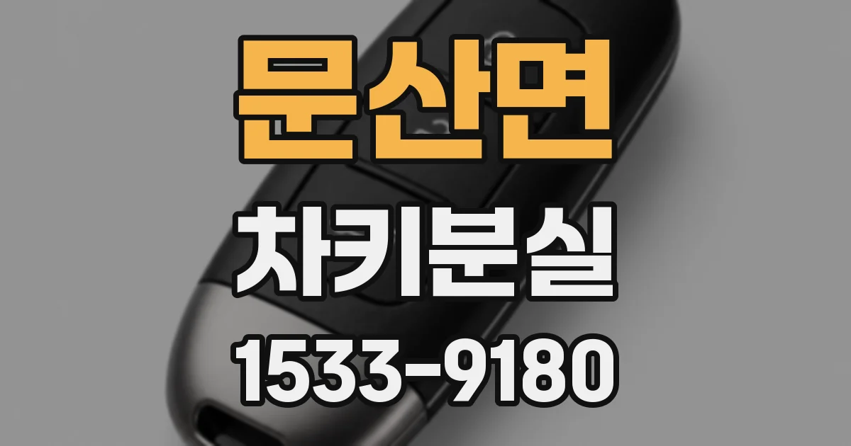 문산면 차키분실