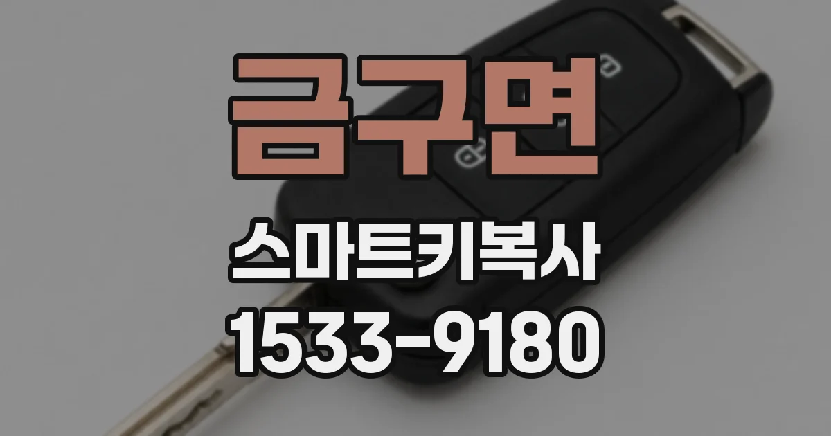 금구면 스마트키복사