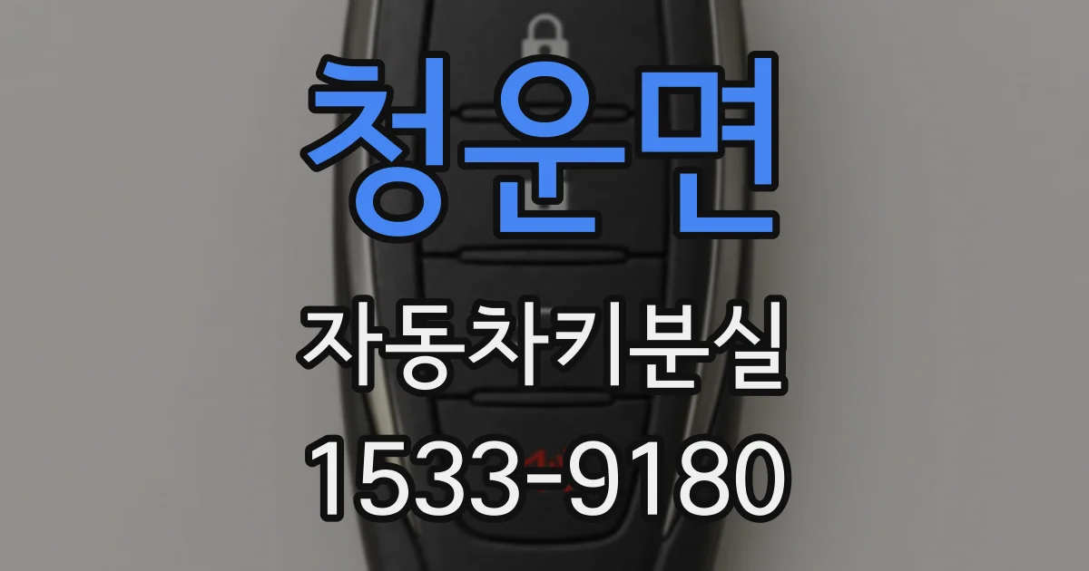 청운면 자동차키분실