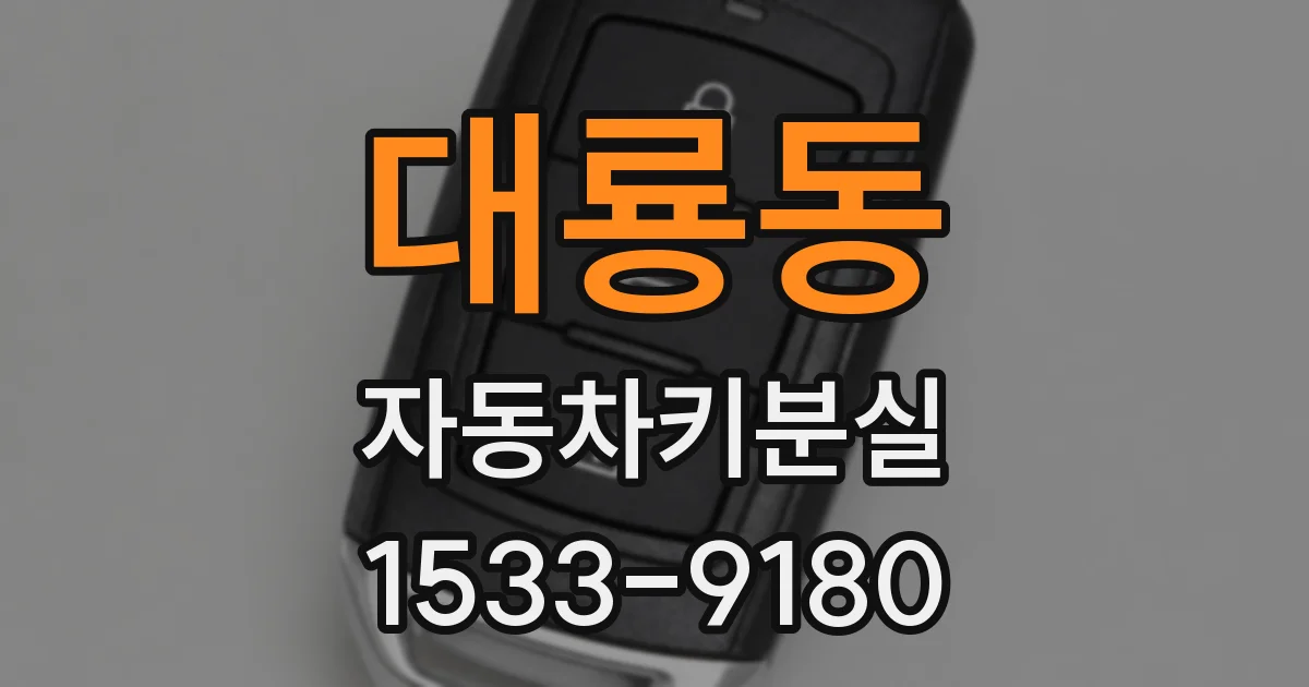 대룡동 자동차키분실