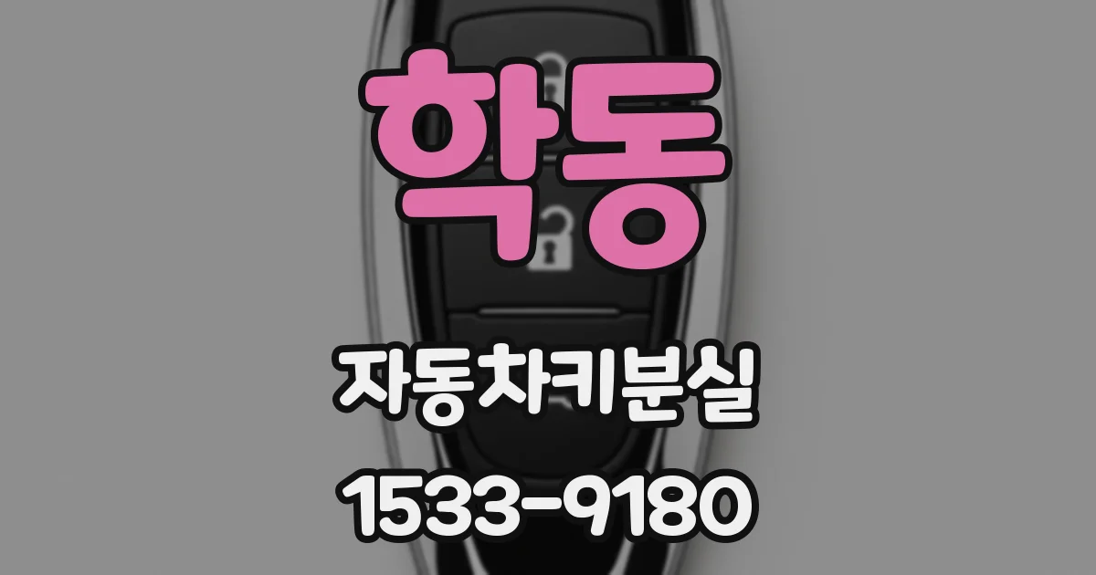 학동 자동차키분실