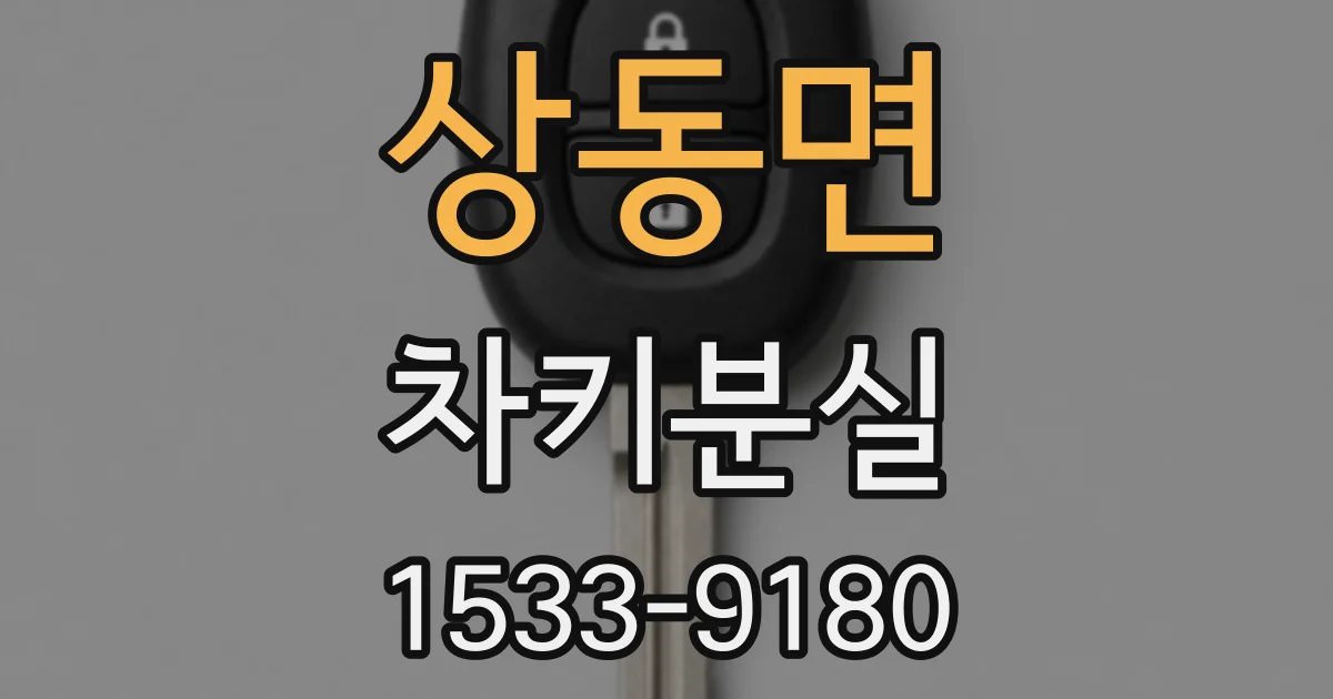 상동면 차키분실