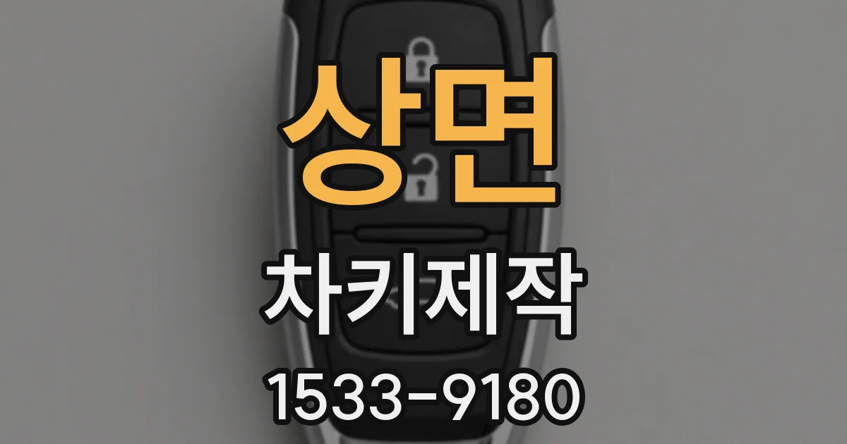 상면 차키제작