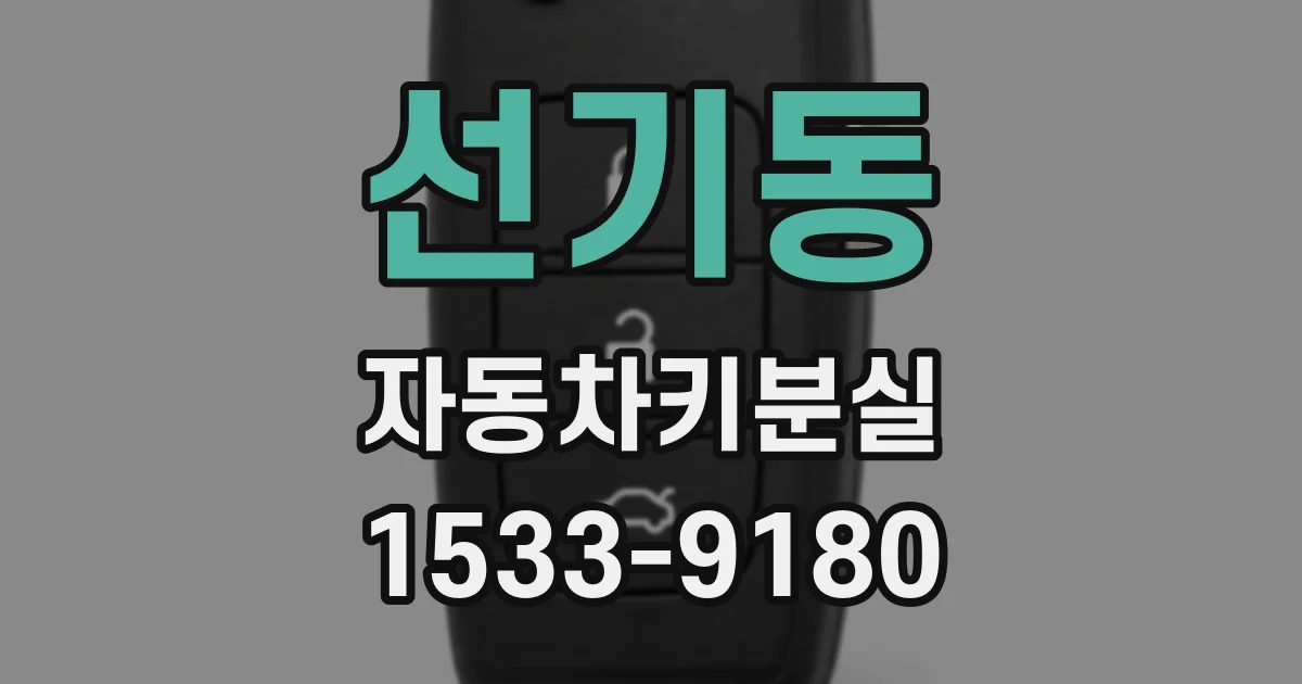 선기동 자동차키분실