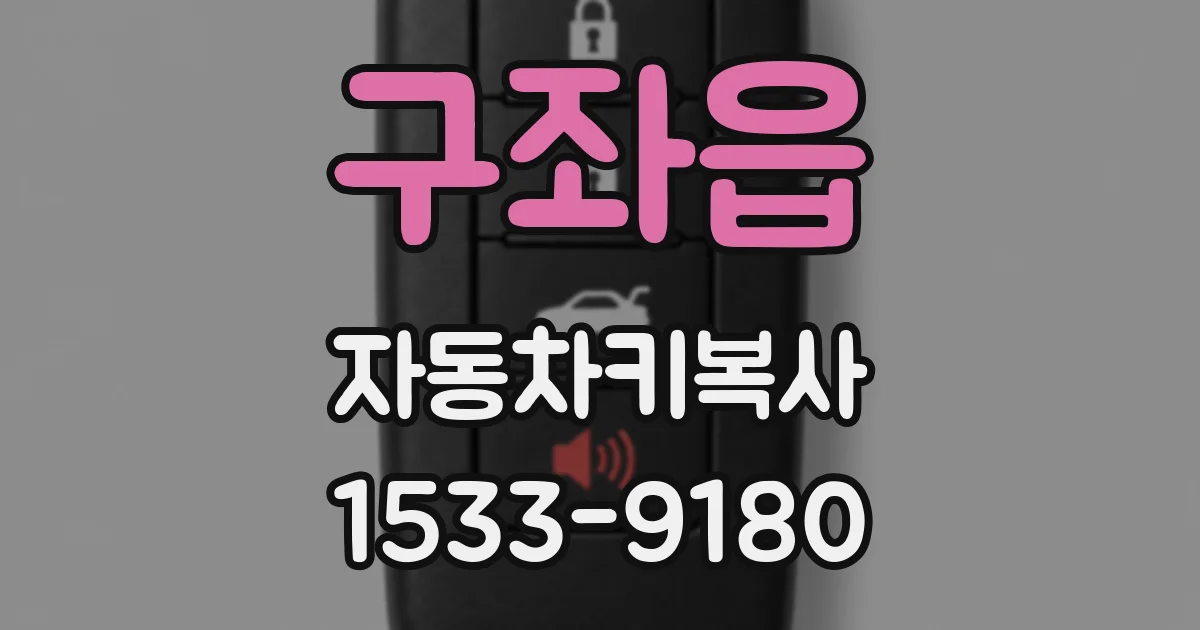 구좌읍 자동차키복사