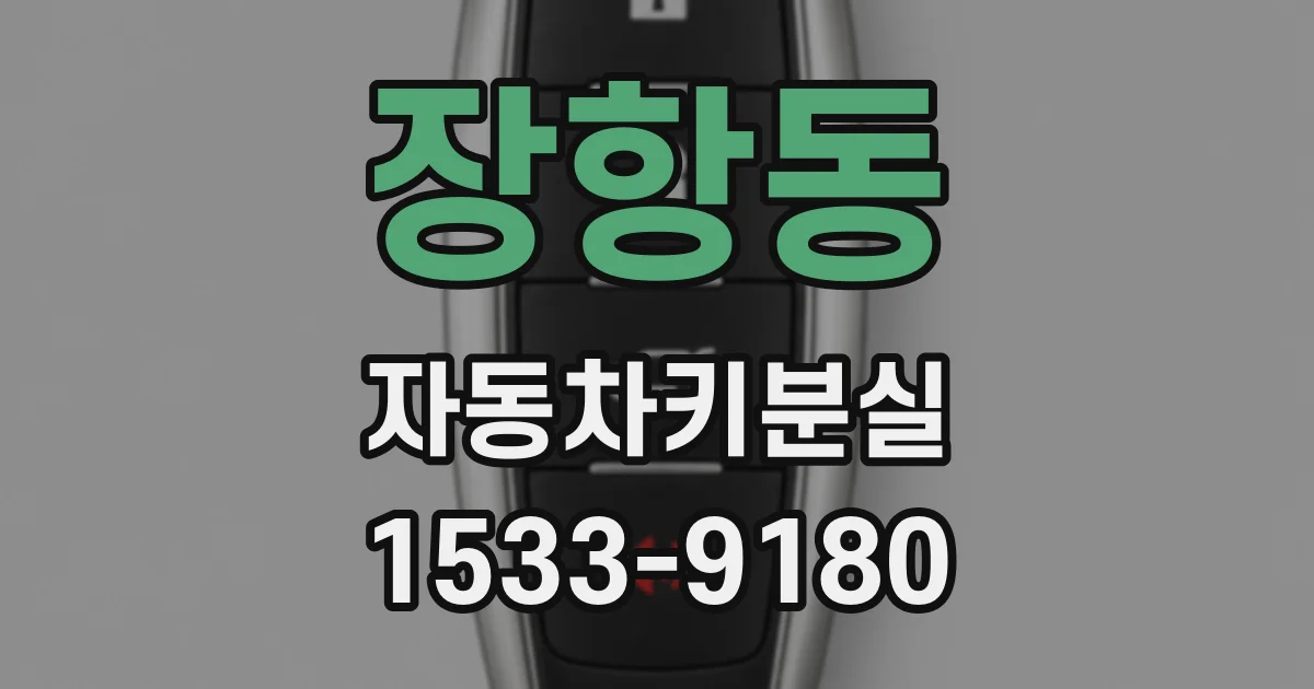 장항동 자동차키분실