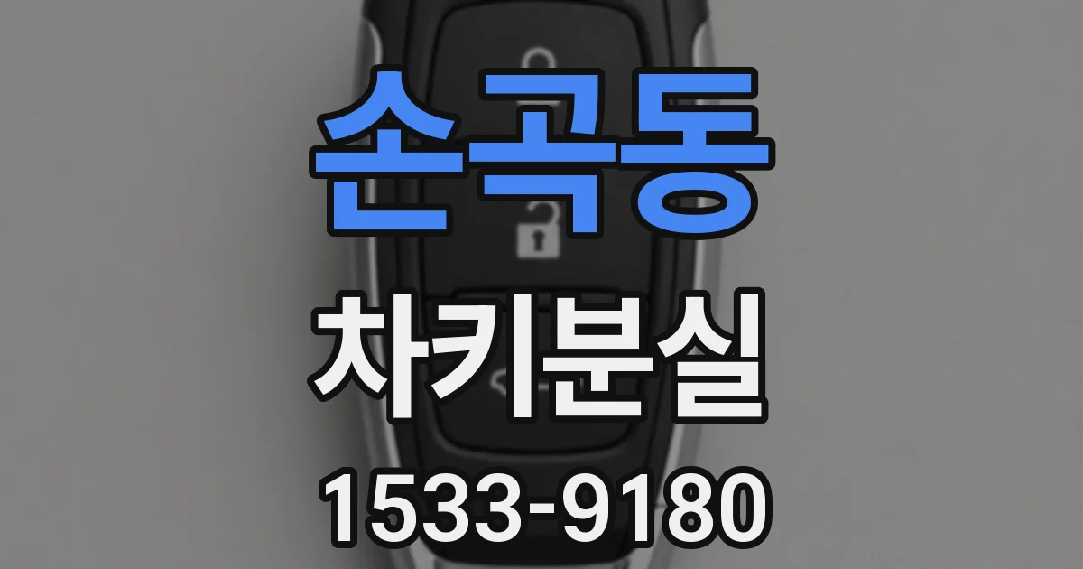 손곡동 차키분실