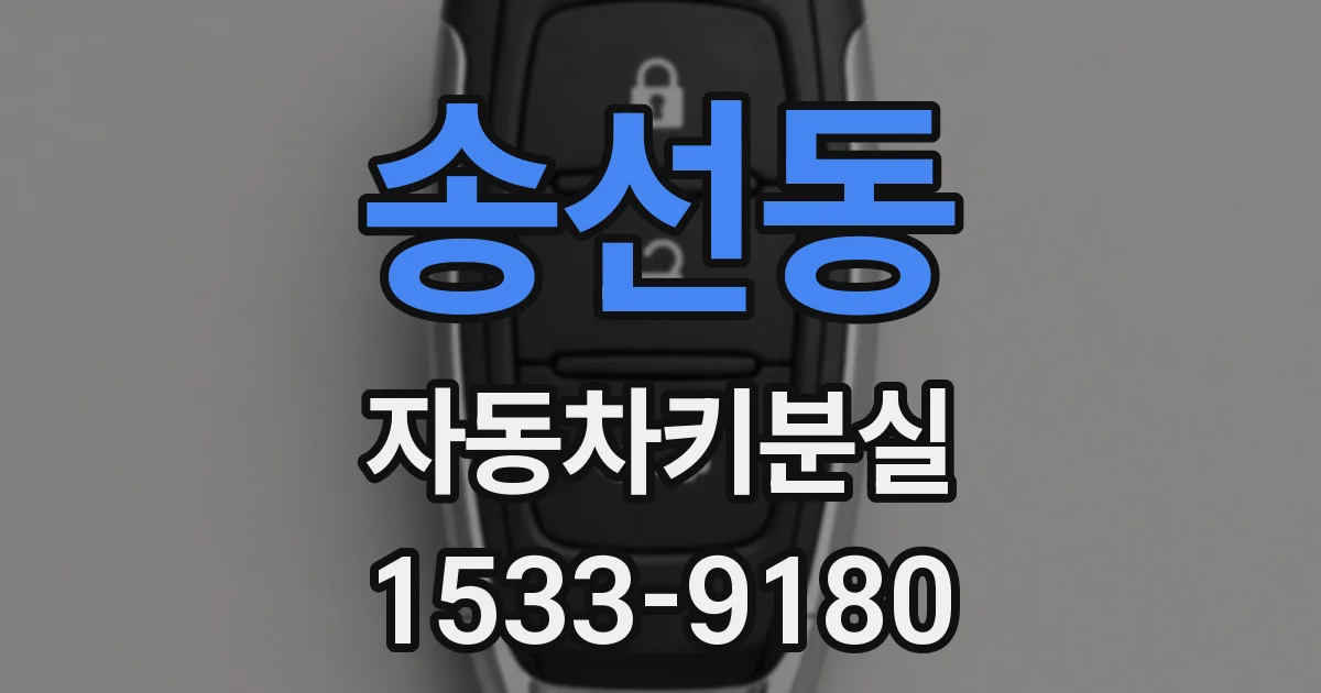 송선동 자동차키분실