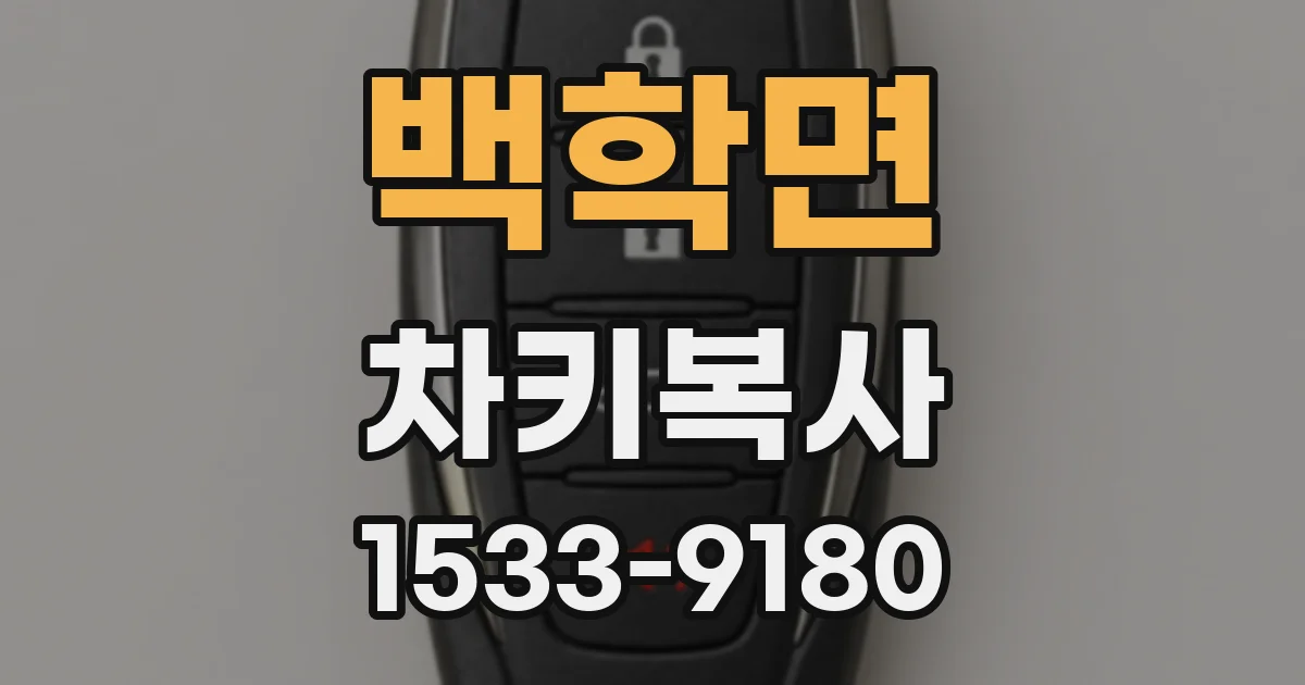 백학면 차키복사