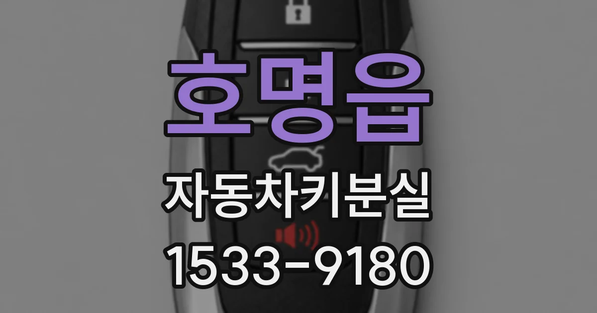 호명읍 자동차키분실