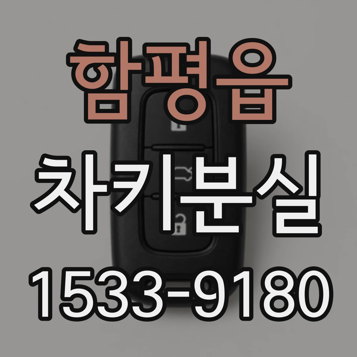 함평읍 차키분실