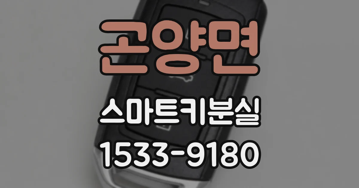 곤양면 스마트키분실