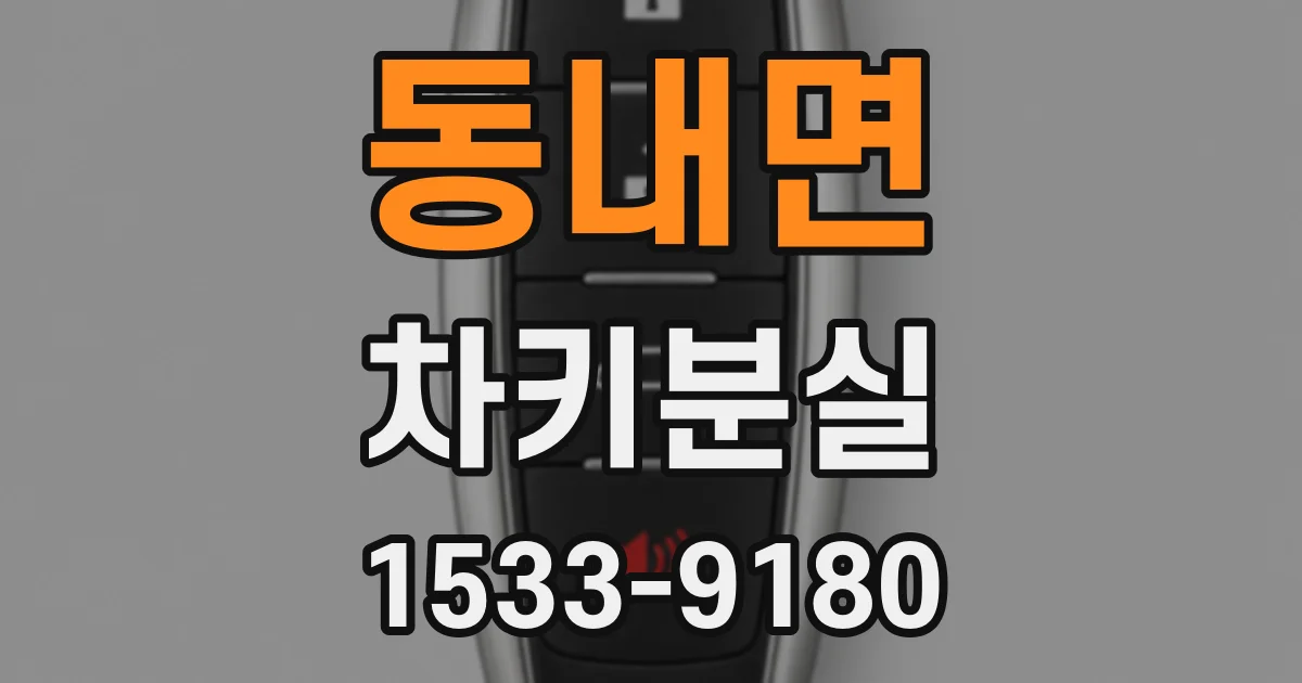 동내면 차키분실