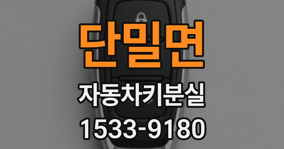 단밀면 자동차키분실