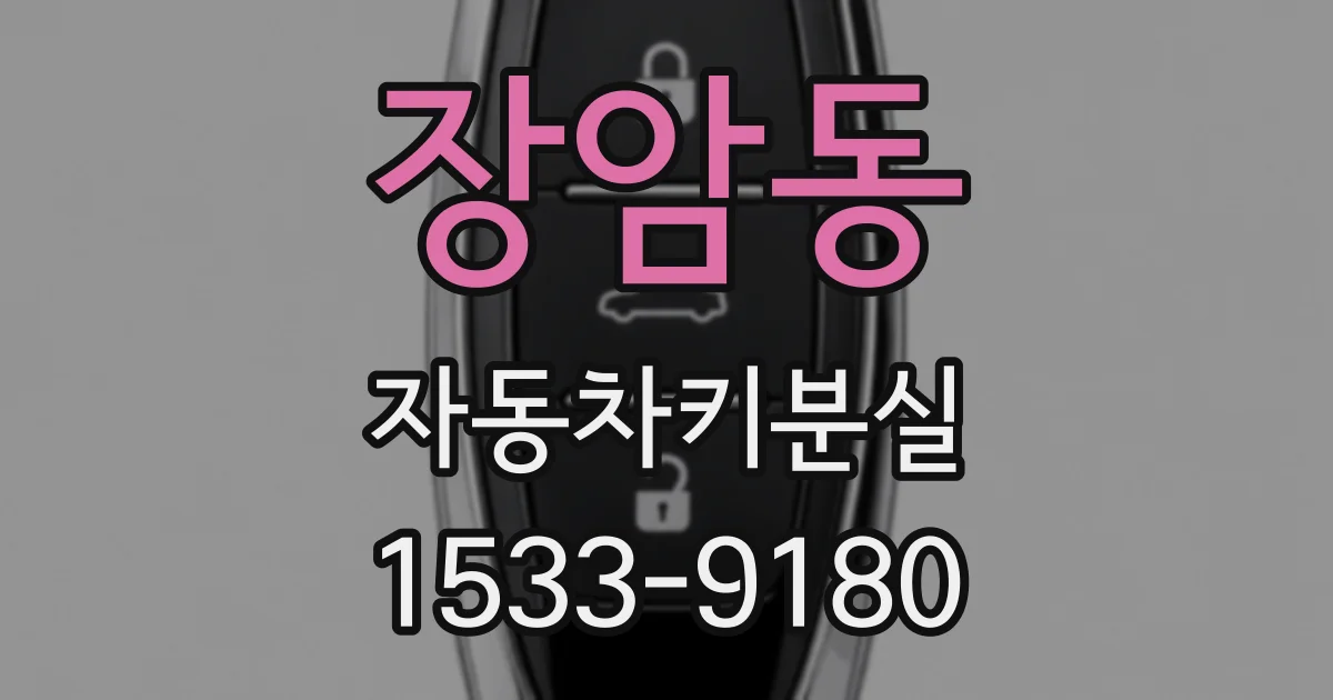 장암동 자동차키분실