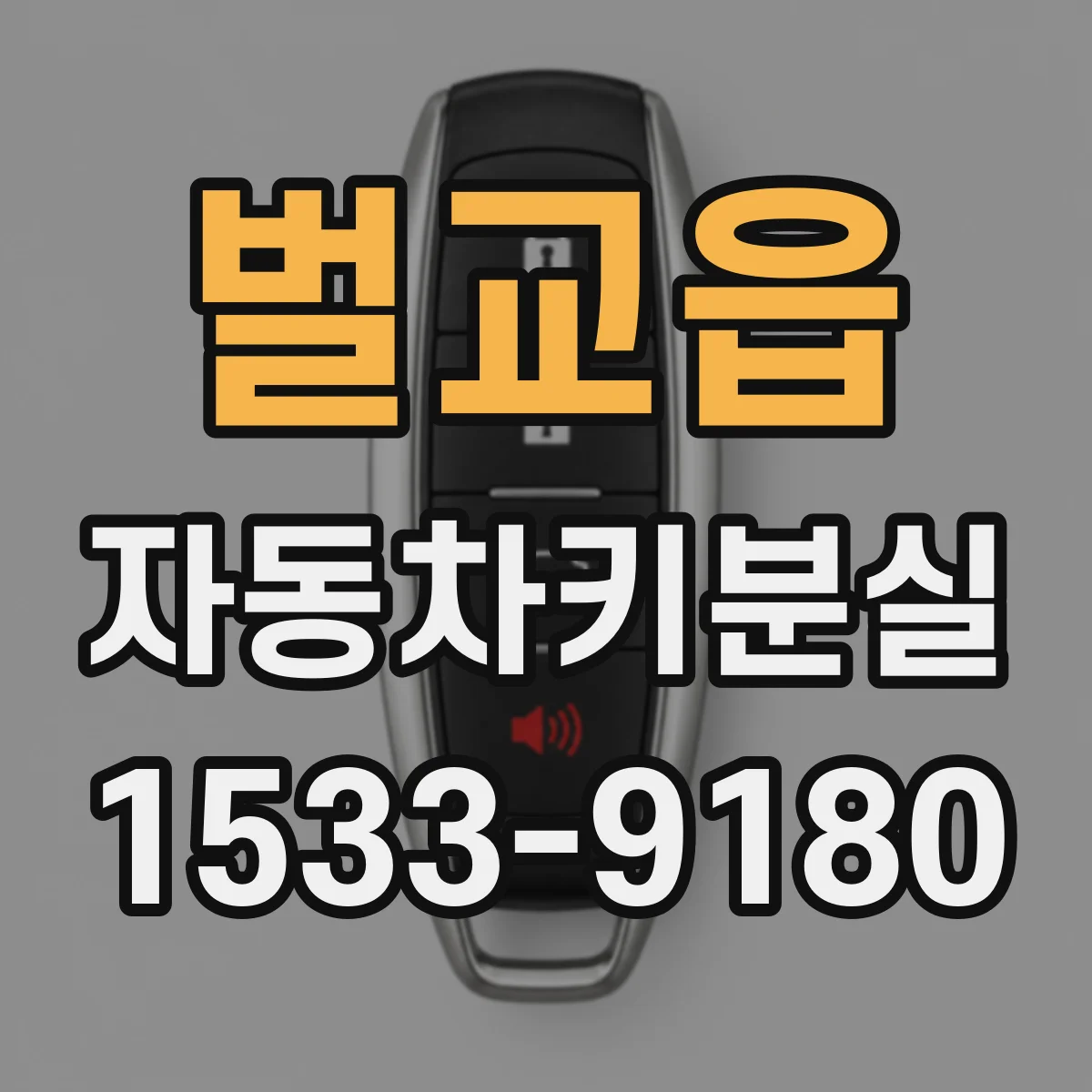 벌교읍 자동차키분실
