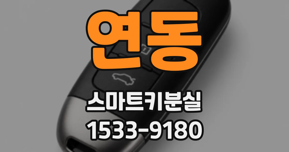 연동 스마트키분실