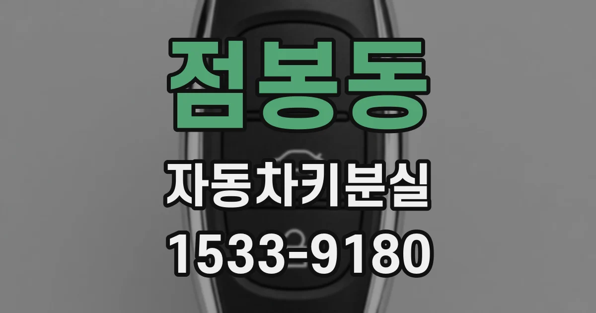 점봉동 자동차키분실