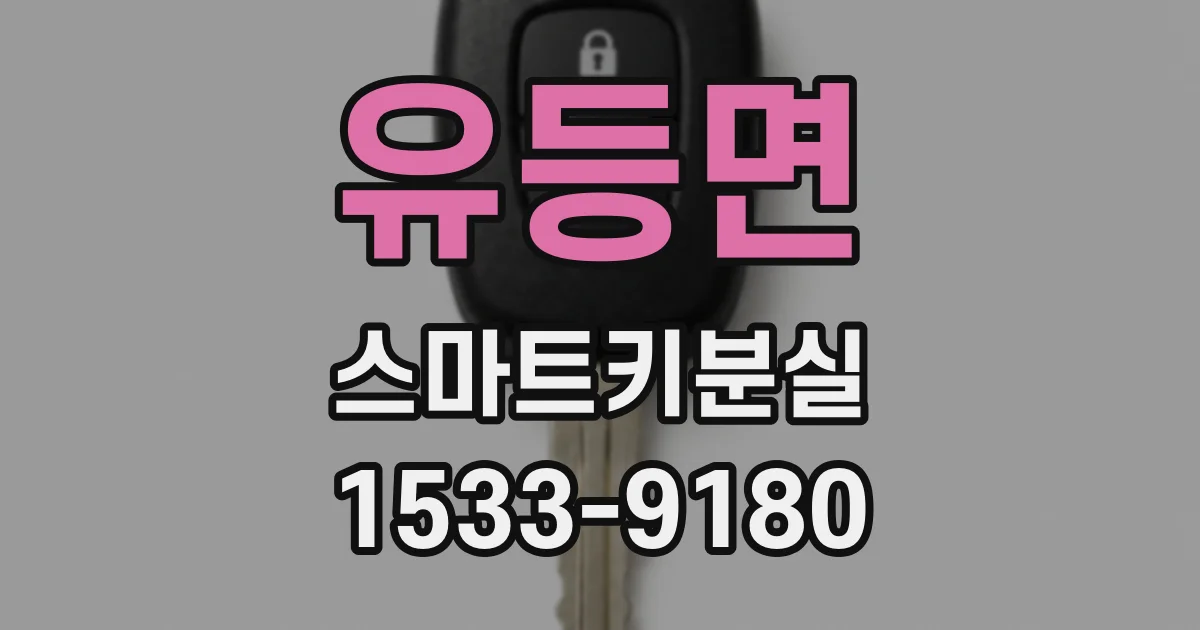 유등면 스마트키분실