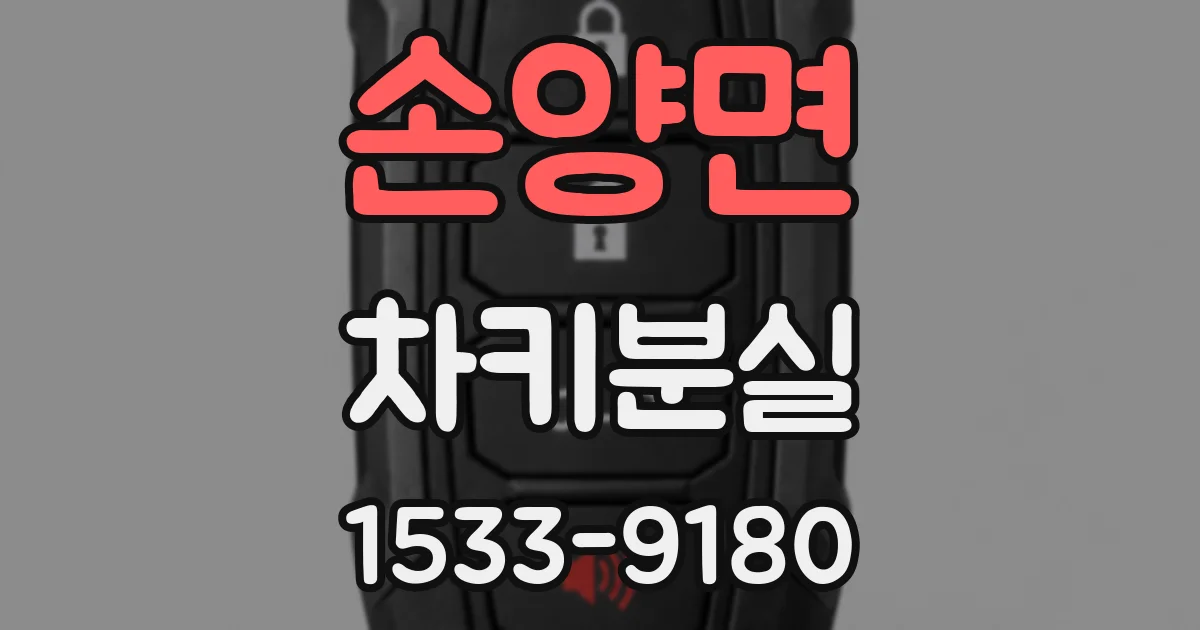 손양면 차키분실