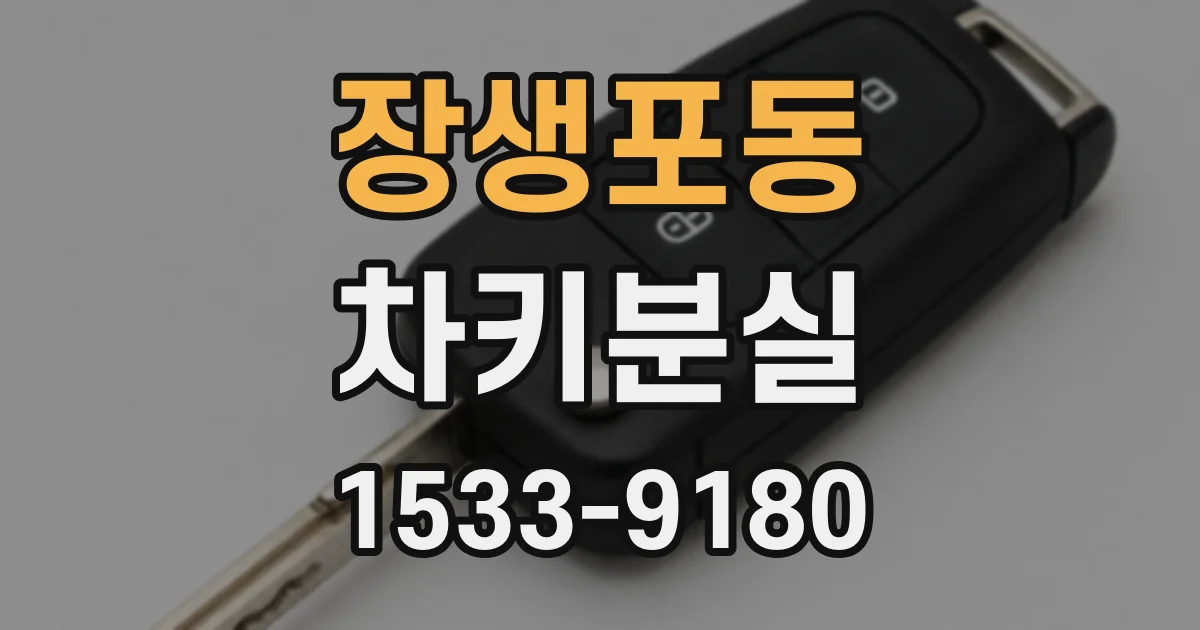 장생포동 차키분실