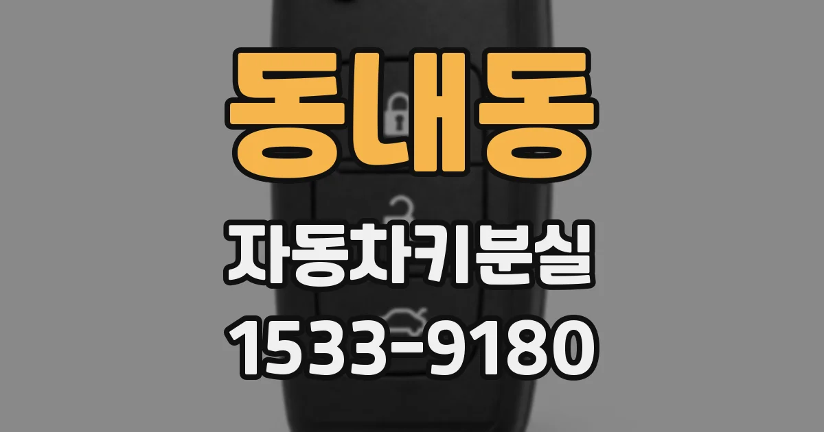 동내동 자동차키분실
