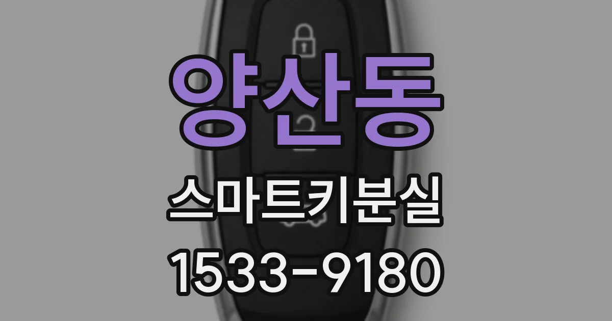 양산동 스마트키분실