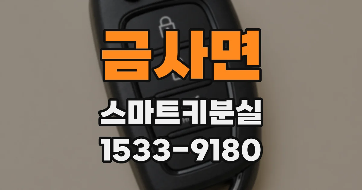 금사면 스마트키분실