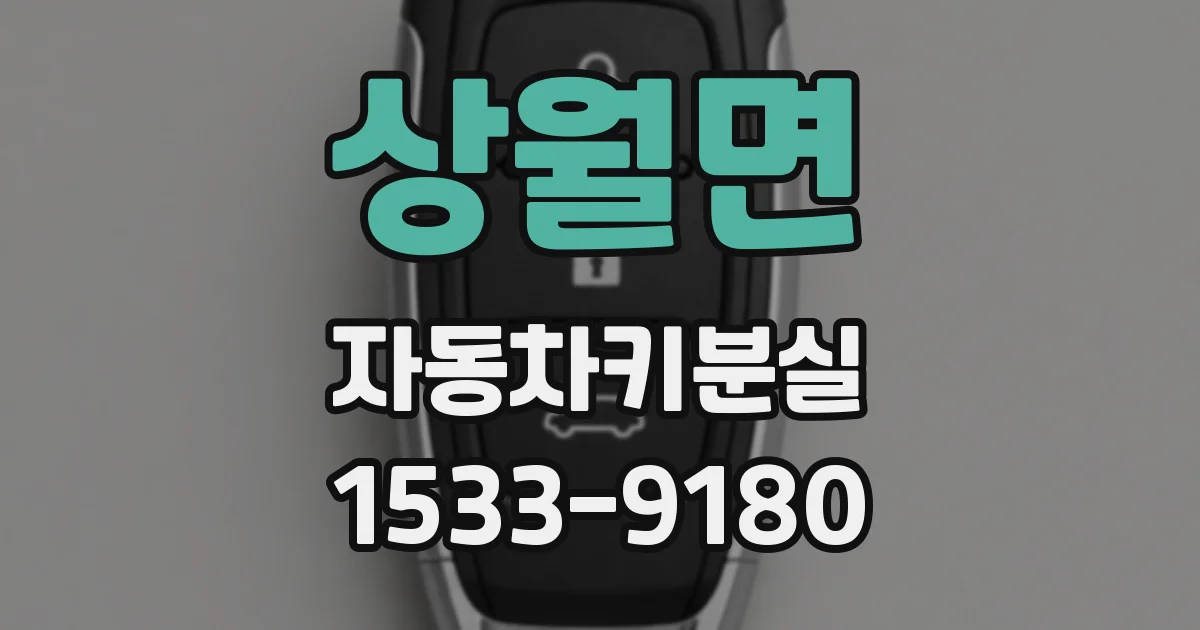 상월면 자동차키분실