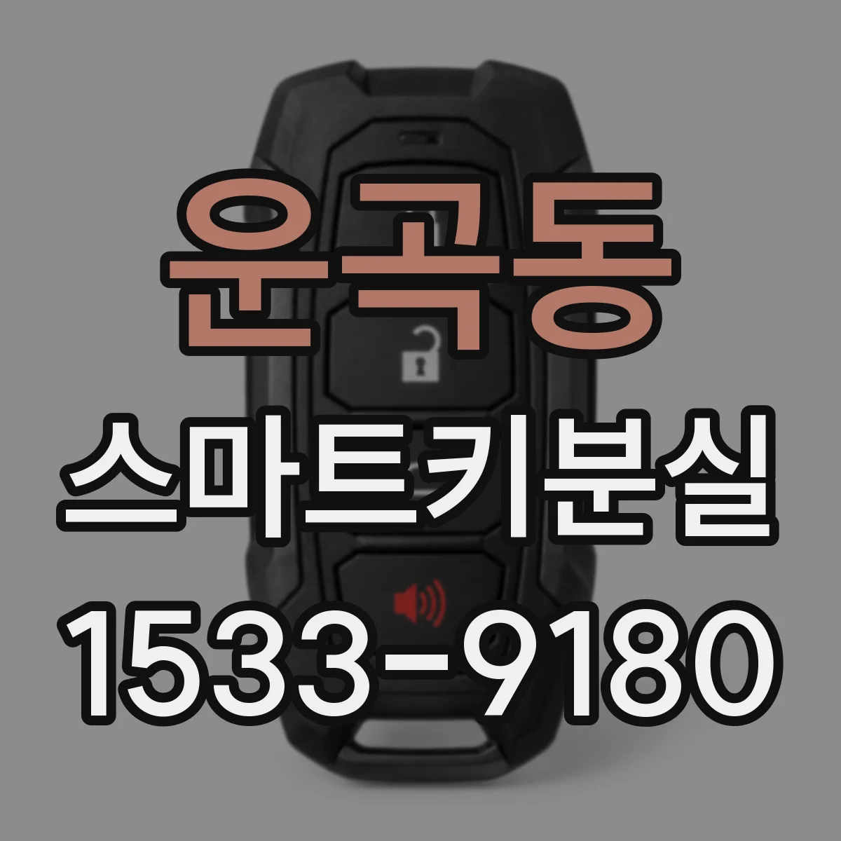 운곡동 스마트키분실