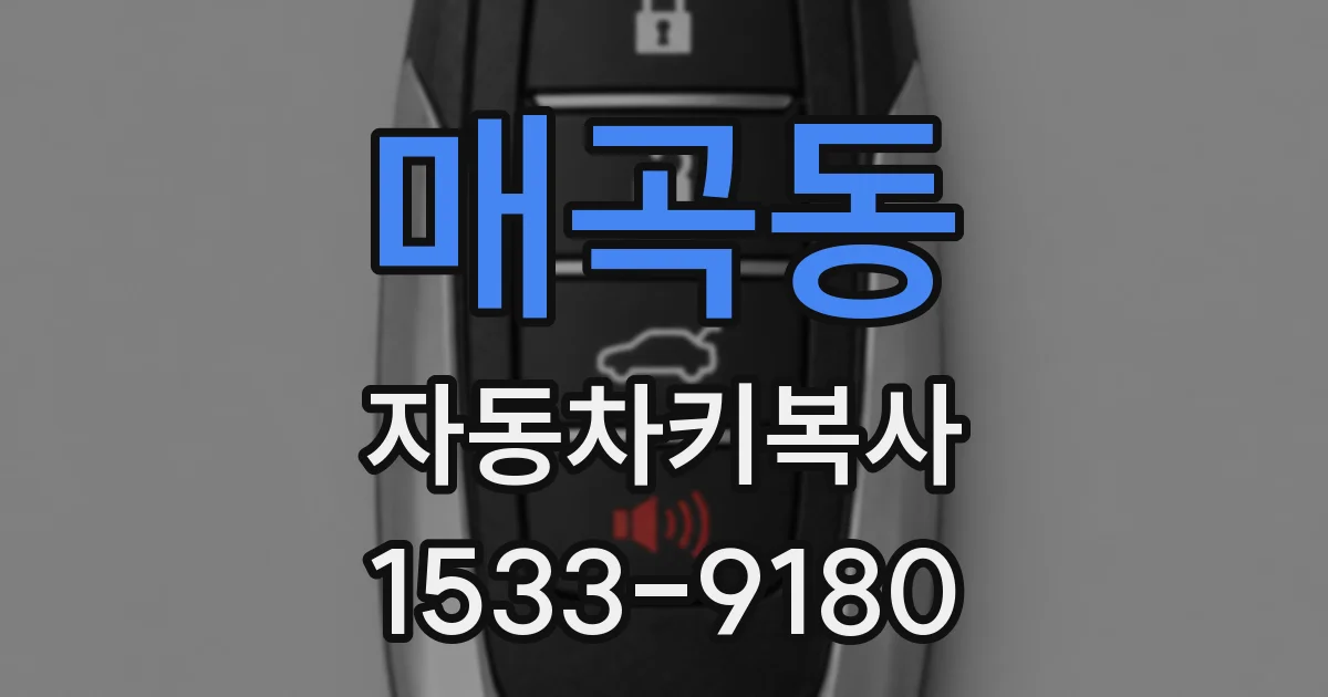 매곡동 자동차키복사