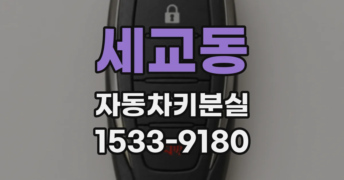 세교동 자동차키분실