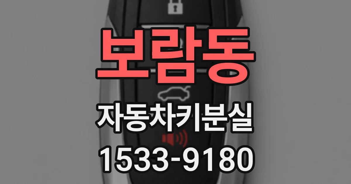 보람동 자동차키분실