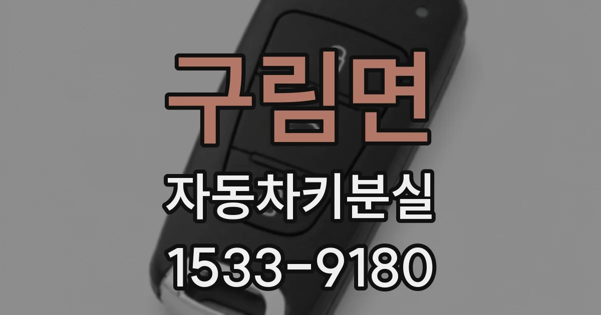 구림면 자동차키분실