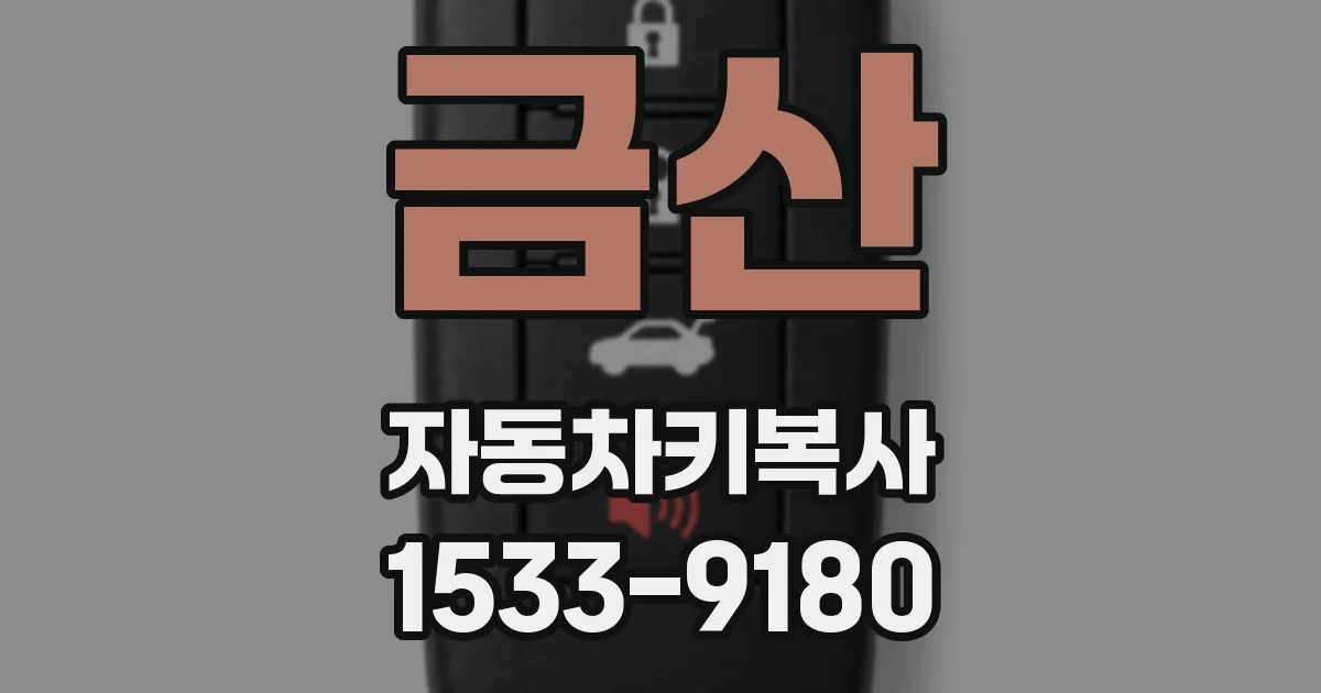 금산 자동차키복사