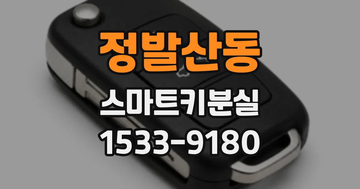 정발산동 스마트키분실