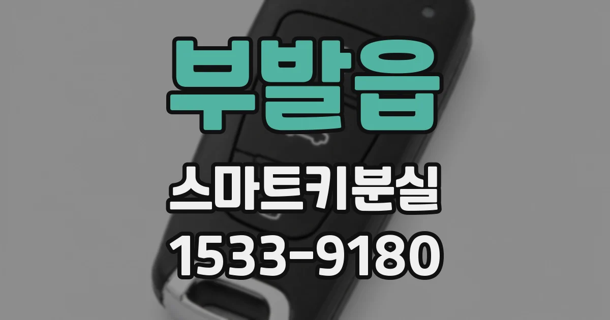 부발읍 스마트키분실