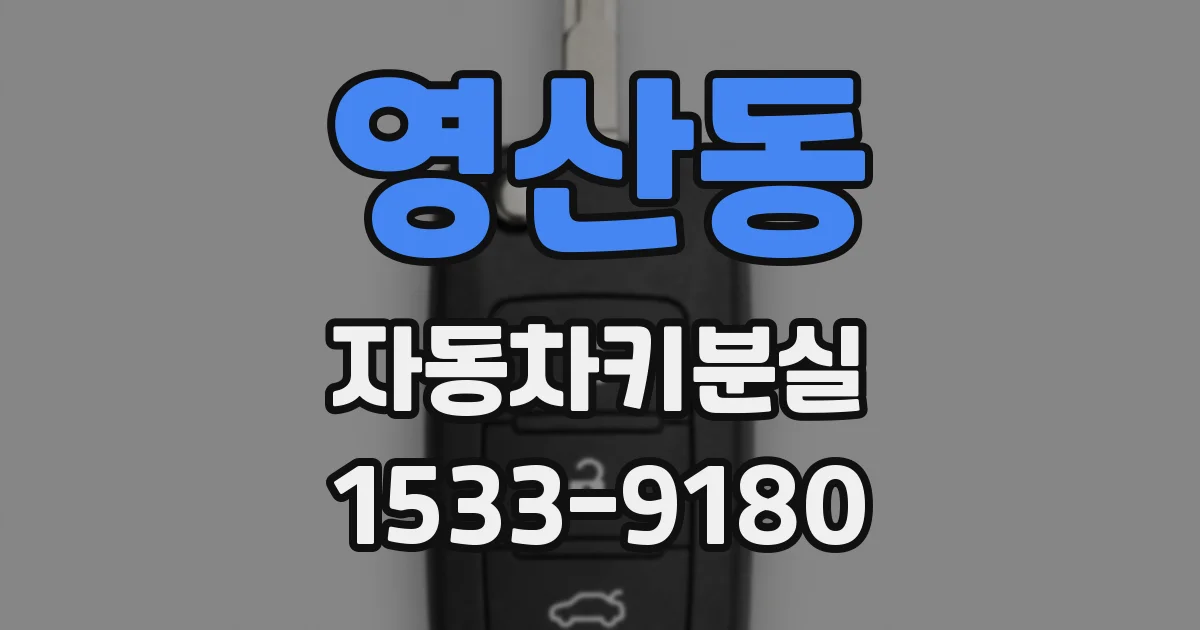영산동 자동차키분실