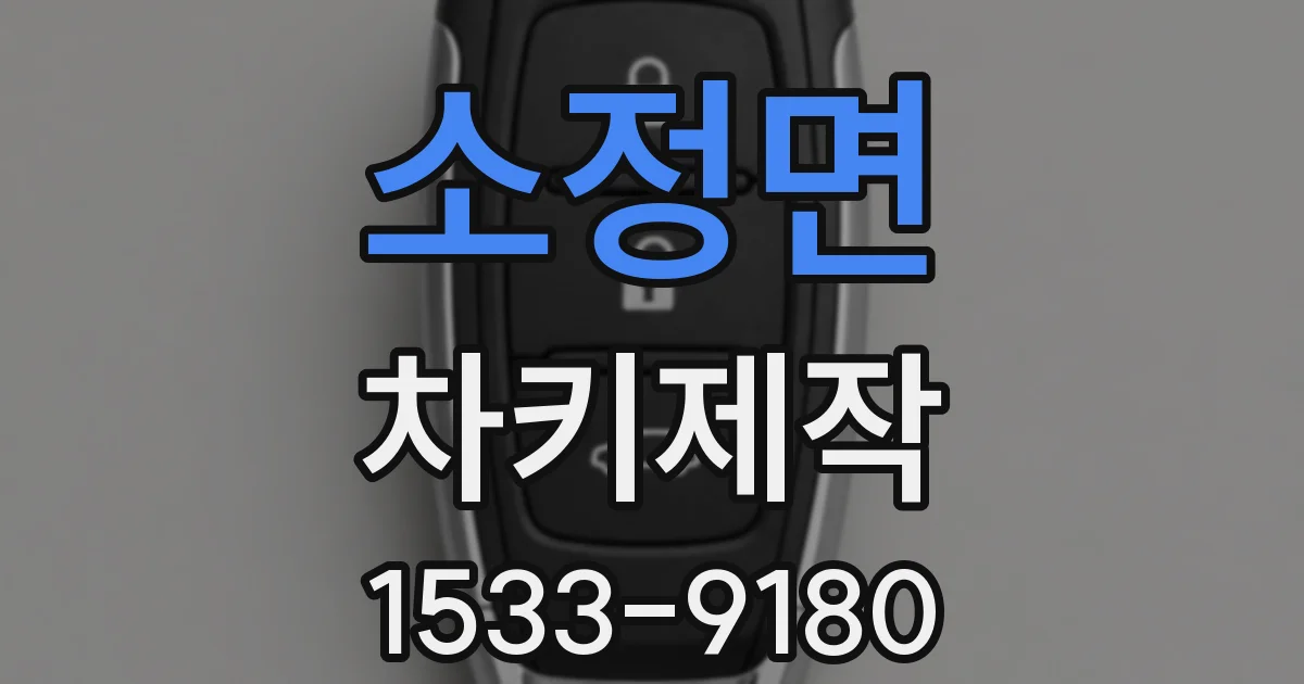 소정면 차키제작