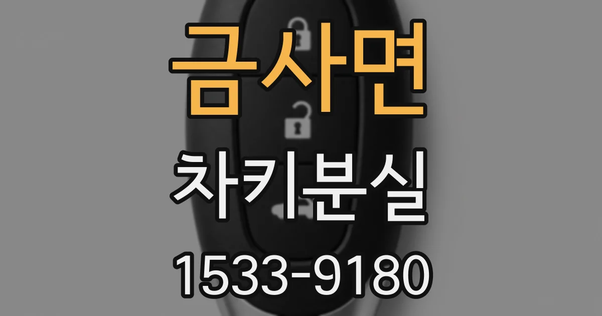 금사면 차키분실