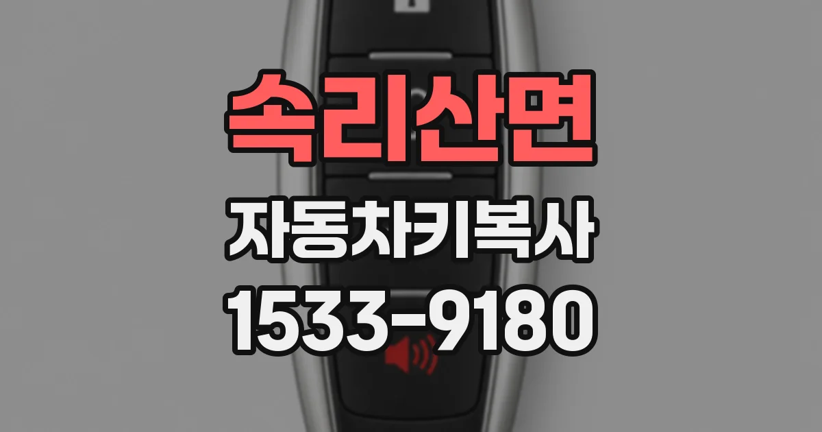속리산면 자동차키복사