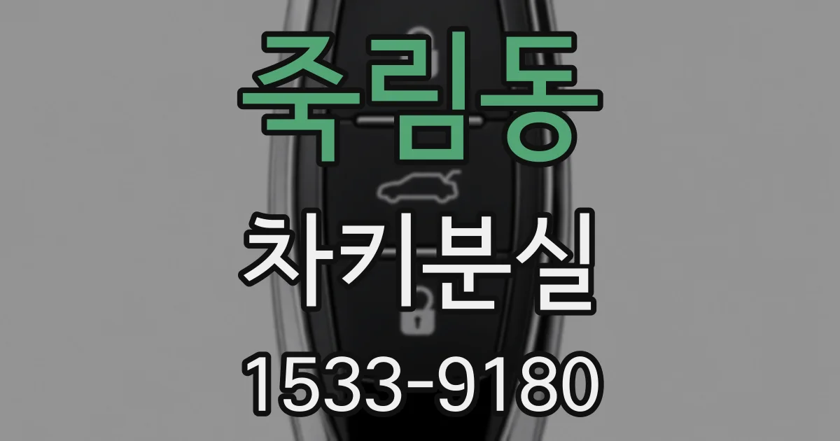 죽림동 차키분실