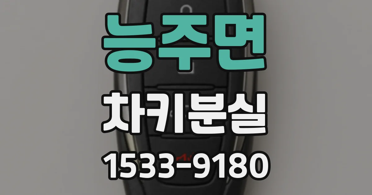 능주면 차키분실
